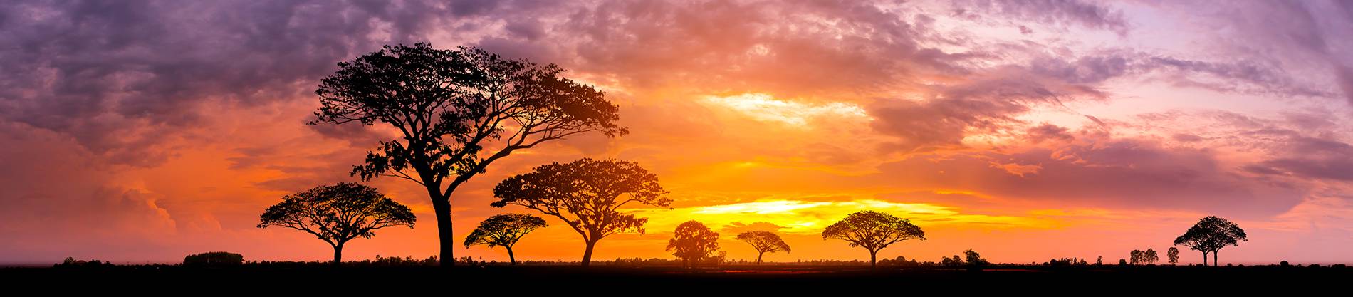 Afrika Ferien, Safari, Kenya, Sansibar, Badeferien