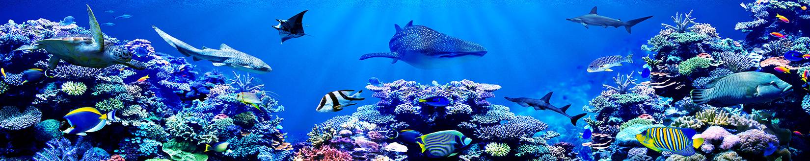 Indischer Ozean Ferien, Malediven, Mauritius, Seychellen, Sri Lanka, Badeferien, Ferien, Reisen