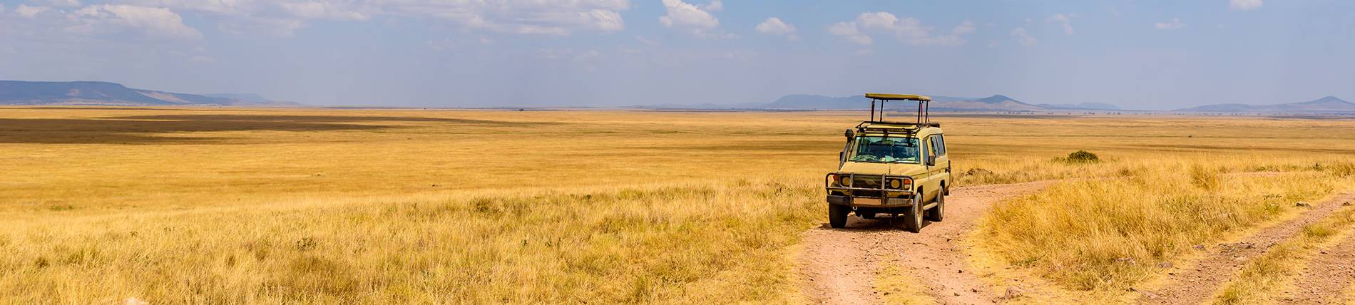 Sansibar, Safari, Ferien