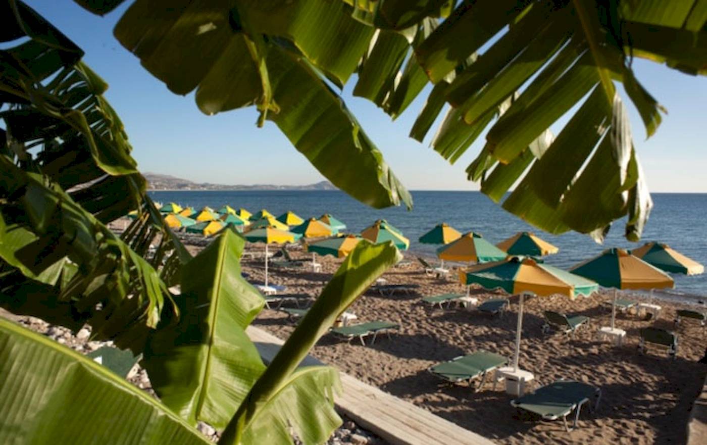 Strand des Irene Palace Beach Resorts mit vielen Sonnenschirmen und Liegen am Meer