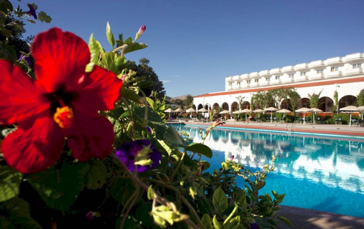Ein Pool des Irene Palace Beach Resorts mit einer roten Blüte im Vordergrund.