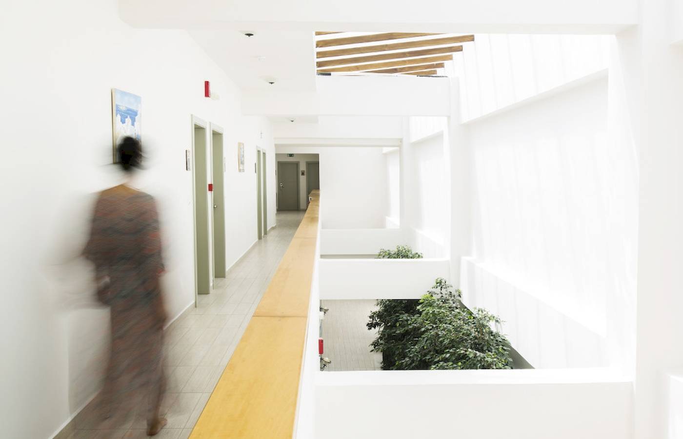 Foto von einem langen Flur im Almyrida Beach Hotel mit weißen Wänden, einem hölzernen Boden und Pflanzen