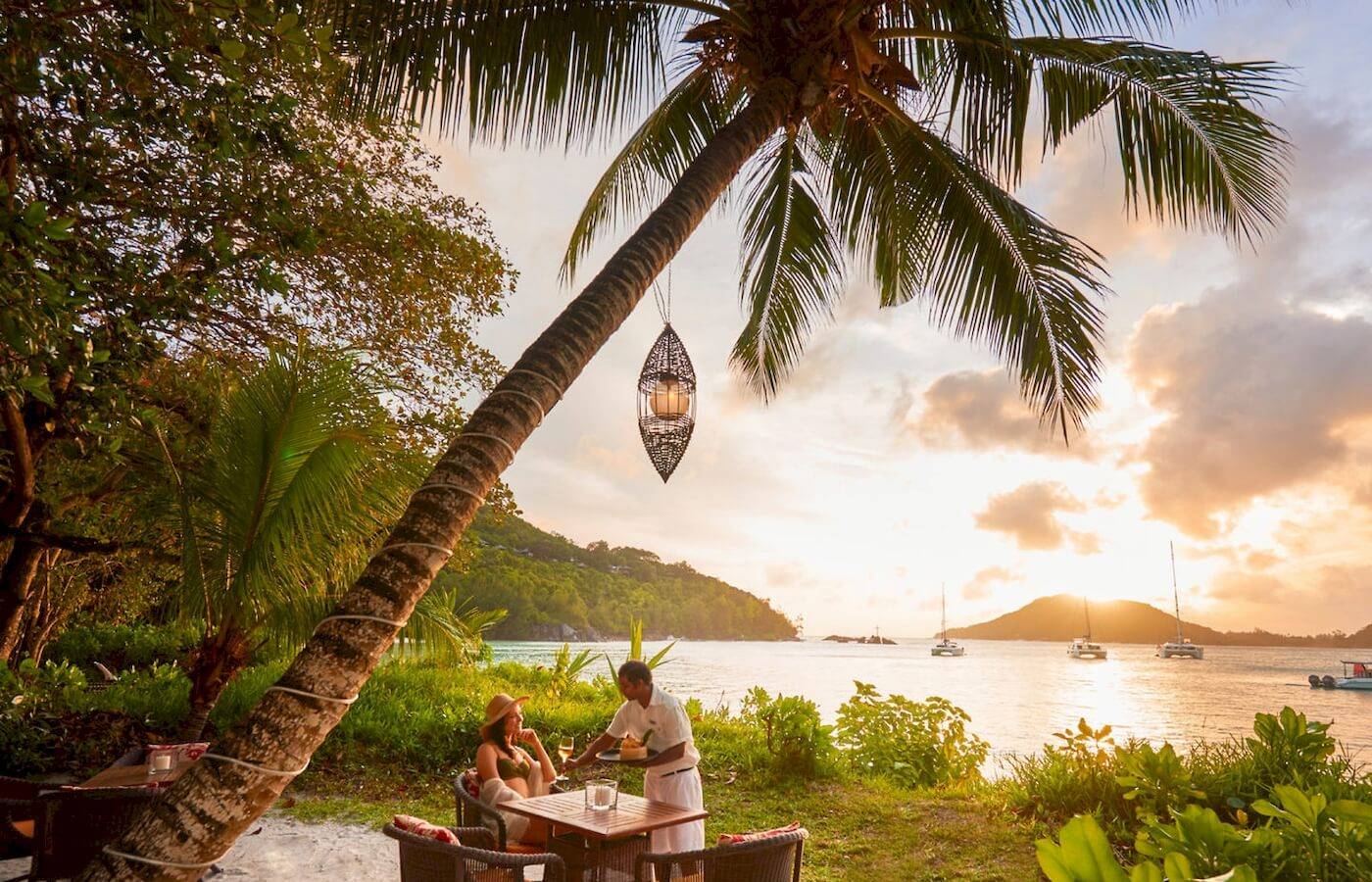 Mann serviert abendessen unter einer palme im constance ephelia resort