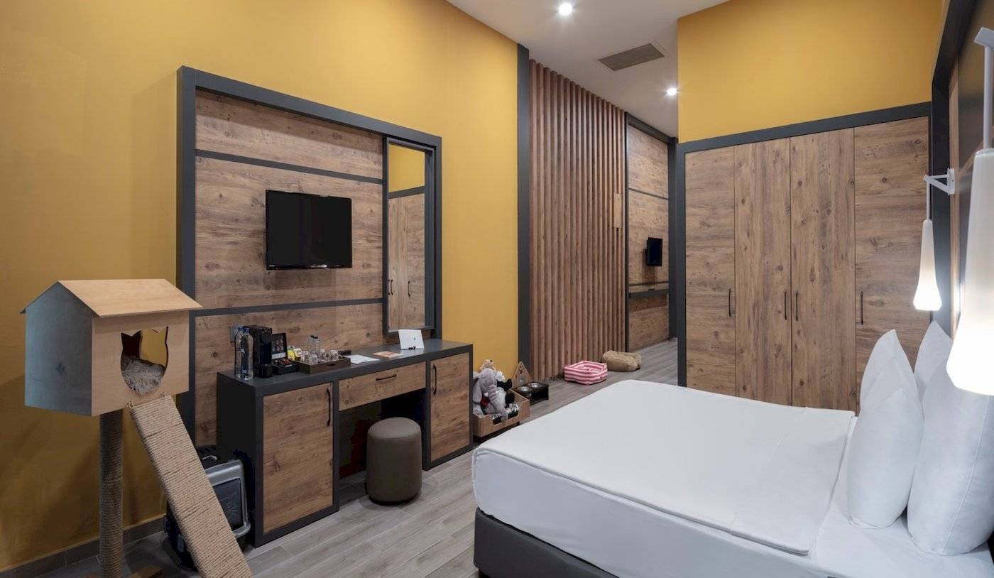 Hotelzimmer im Nirvana Cosmopolitan mit gelben Wänden, Holzelementen, einem Fernseher, Schreibtisch, Bett und Katzenzubehör.