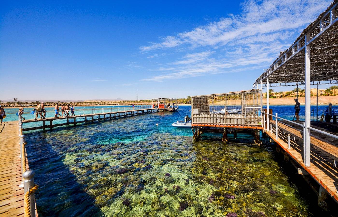 Personen erkunden das Riff am Ponton des Jaz Lamaya Resorts