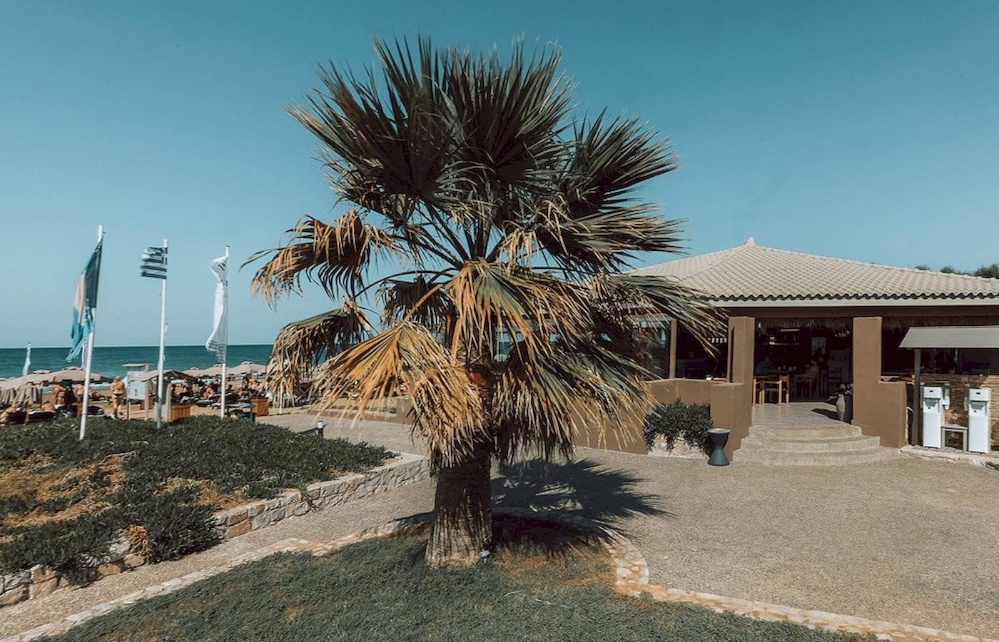 Palme vor dem Eliros Mare Hotel an der Strandpromenade.