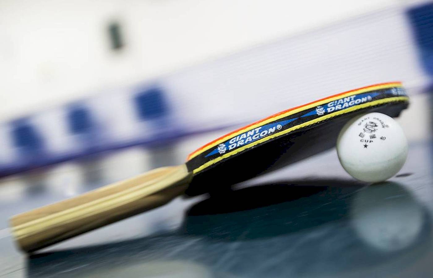 Ping Pong - Table tennis