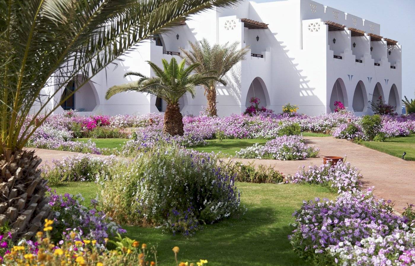 Garten vor dem Three Corners Equinox Beach Resort mit Blumen und Palmen.