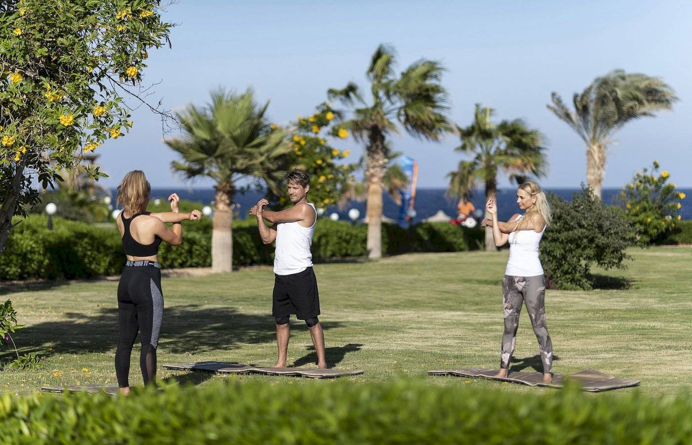 Drei Personen praktizieren Yoga auf dem Rasen vor Palmen und Meer im Hintergrund