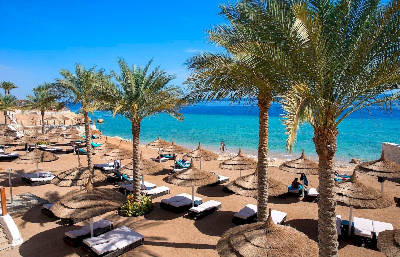 Strandbereich des Sunrise Royal Makadi Resorts mit Palmen, Sonnenliegen und Schirmen.