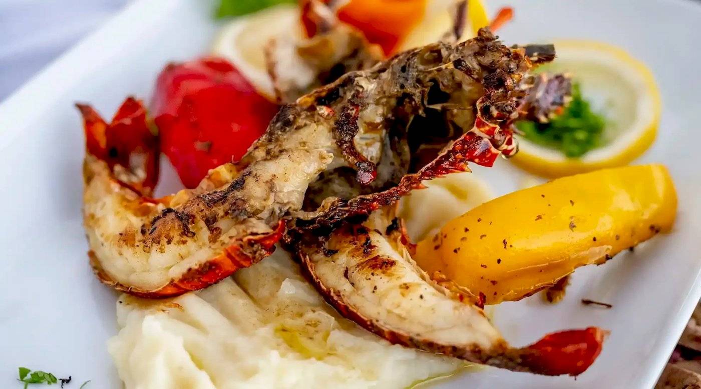 Gegrillter Hummer auf Kartoffelbrei mit Gewürzen und Gemüse serviert auf einem weißen Teller.