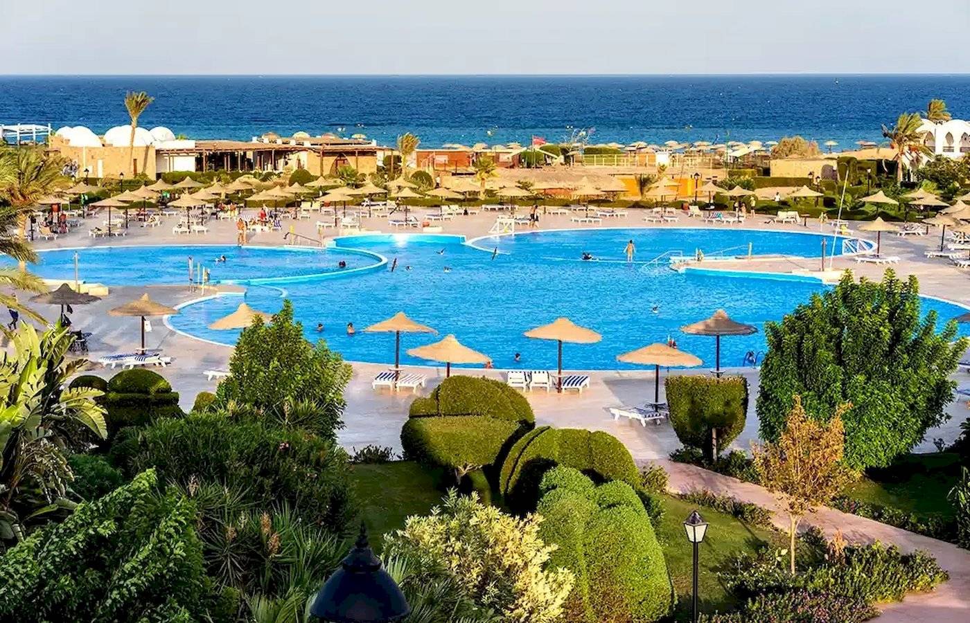 Aussenpool des Gorgonia Beach Resorts mit vielen Sonnenschirmen und Liegen.