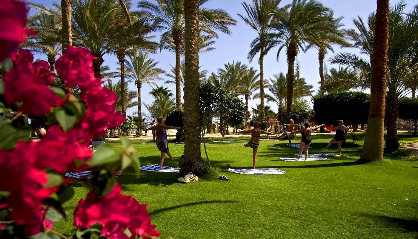 Yoga-Kurs im Freien mit mehreren Personen, die in einem grünen Park mit Palmen und roten Blumen trainieren.