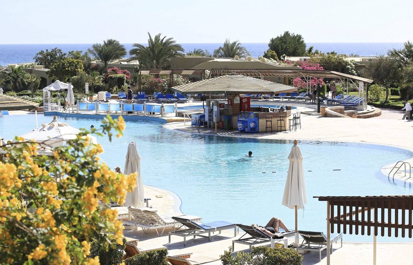 Außenpool des Three Corners Fayrouz Plaza Beach Resorts mit Sonnenliegen und einer Person im Schwimmen.