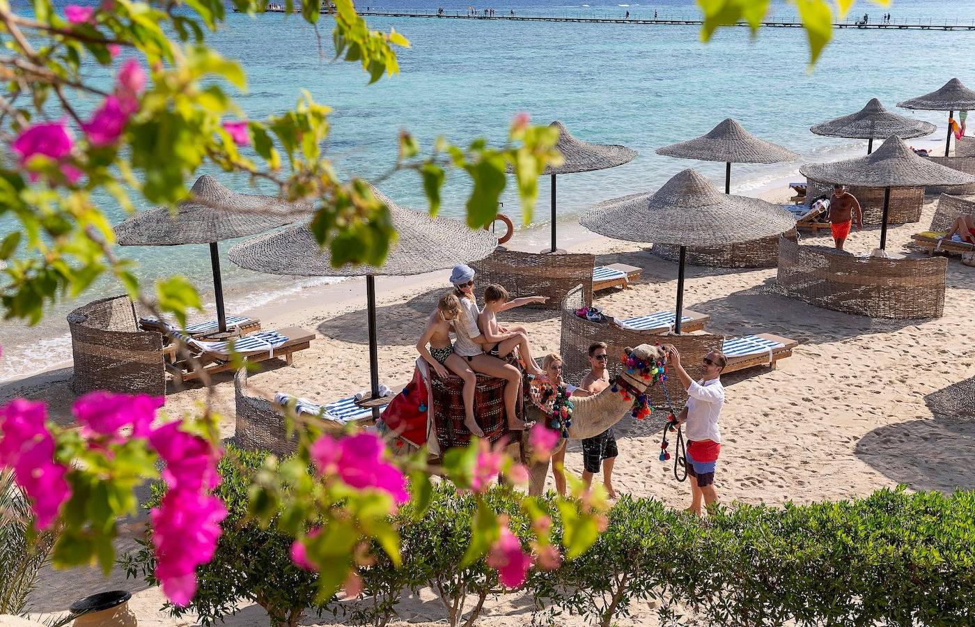 Drei-Ecken-Fayrouz-Plaza-Strand-Resort-Ansicht mit mehreren Gästen, die auf einem Kamel sitzen und eine Person, die es führt.