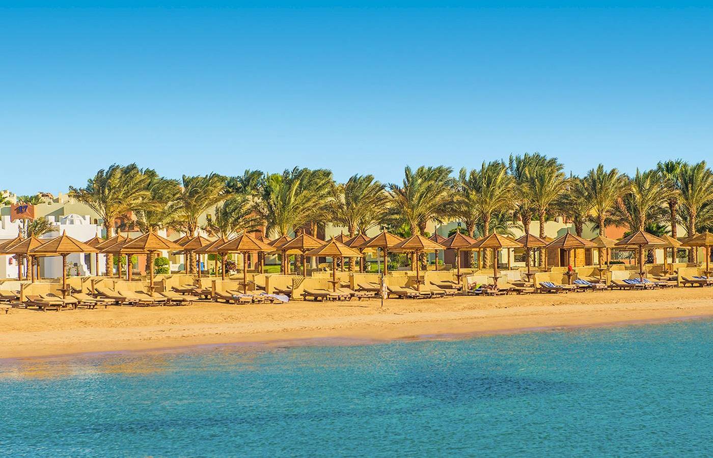 Strand des Sunrise Royal Makadi Resort mit Sonnenliegen und Palmen