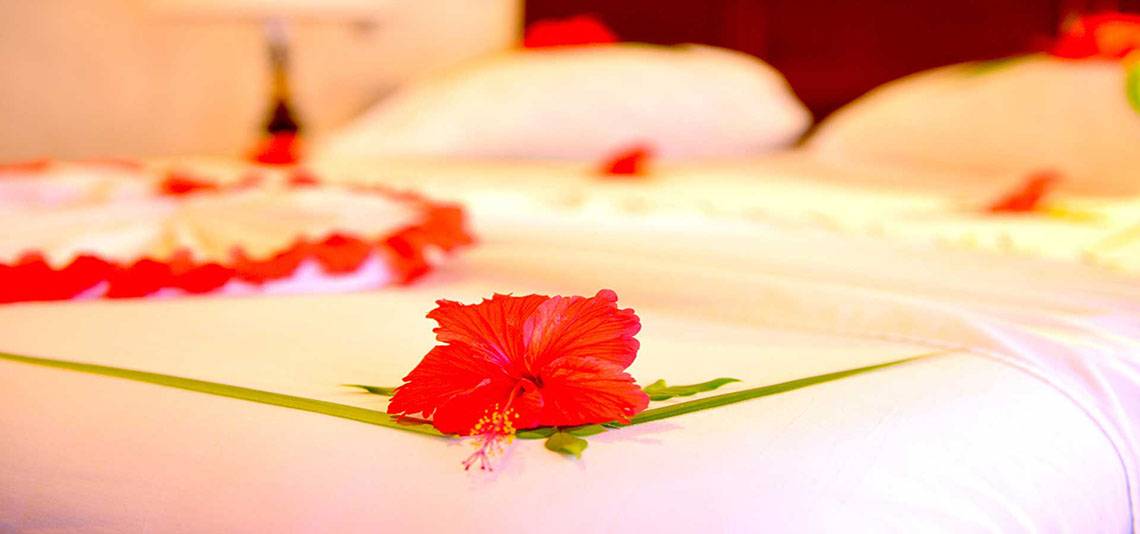 Rote Hibiskusblume auf einem Bett im Biyadhoo Island Resort