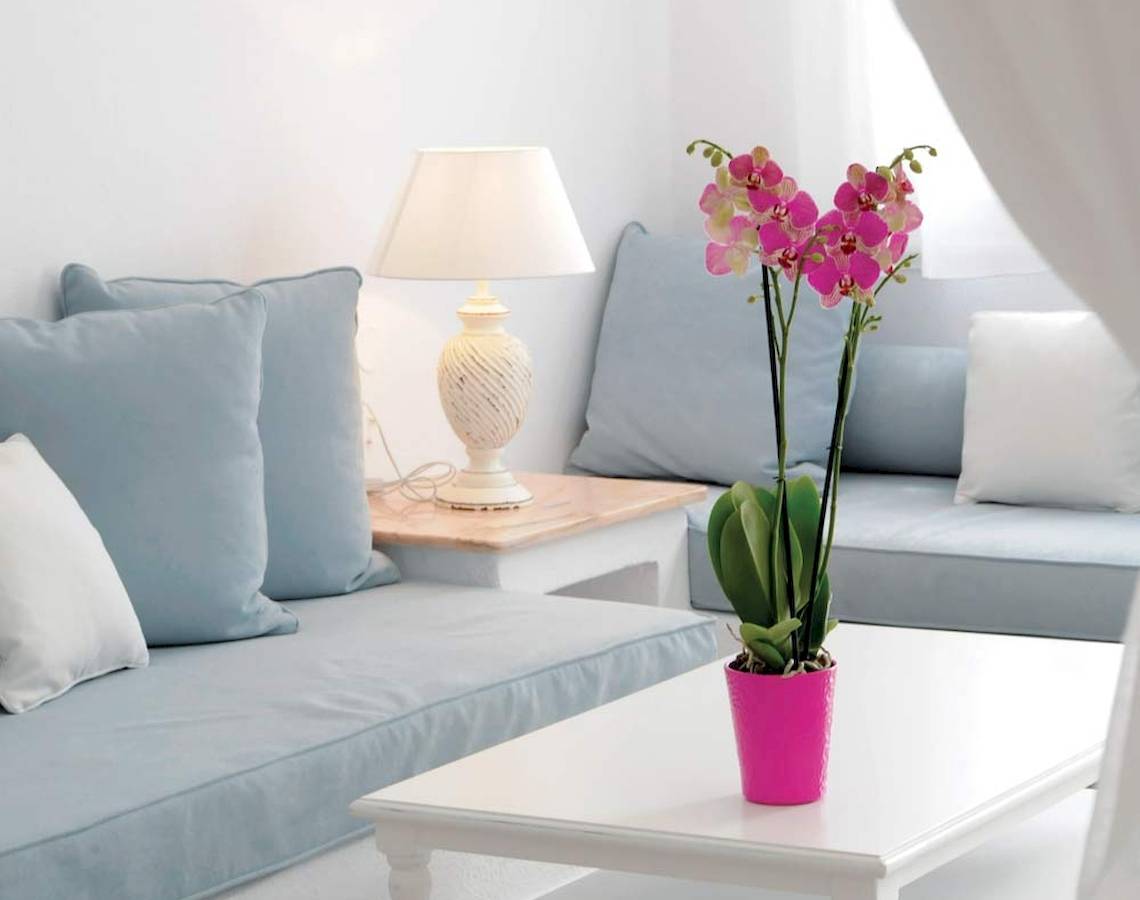 Wohnzimmer des Kamari Hotels mit weißem Sofa, Kissen, Tisch, Lampe und Orchidee