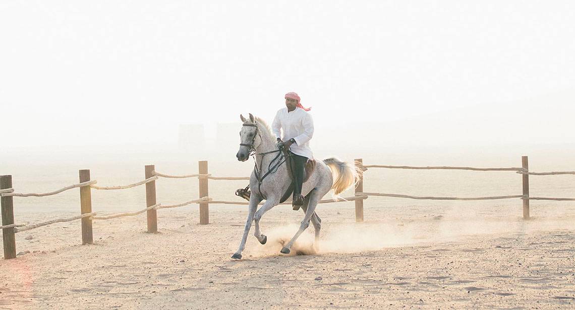 Qasr Al Sarab Desert Resort by Anantara in Abu Dhabi