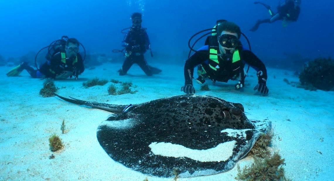 La Pirogue Mauritius in Mauritius