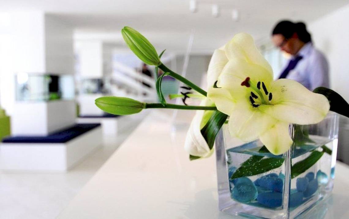 Weiße Lilien in einer quadratischen Vase mit blauen Kugeln auf einem Tisch im Cavtat Hotel.