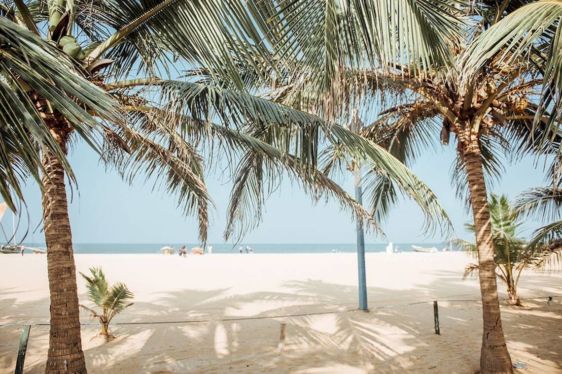 Foto einer Strandszene mit Kokosnusspalmen und blauem Himmel im Hintergrund.