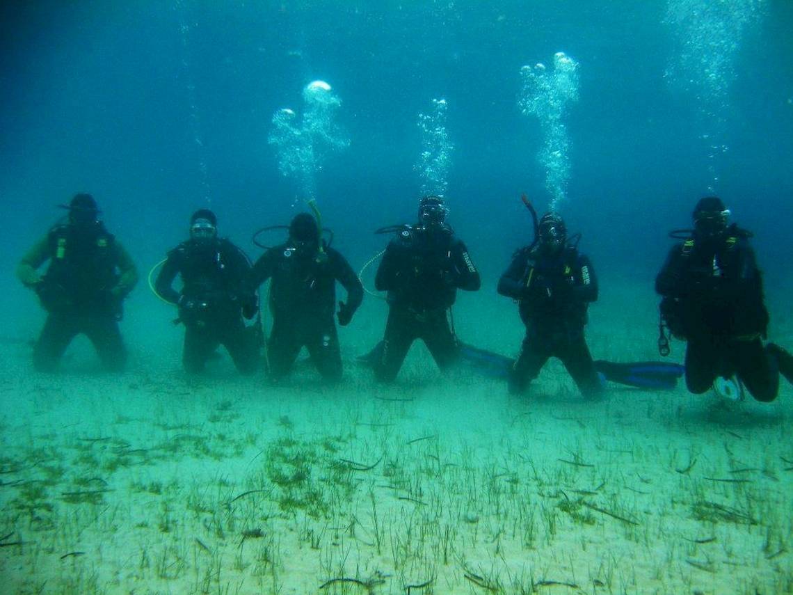 Eine Gruppe von Tauchern unter Wasser in der Nähe des Arion Hotels auf Samos.