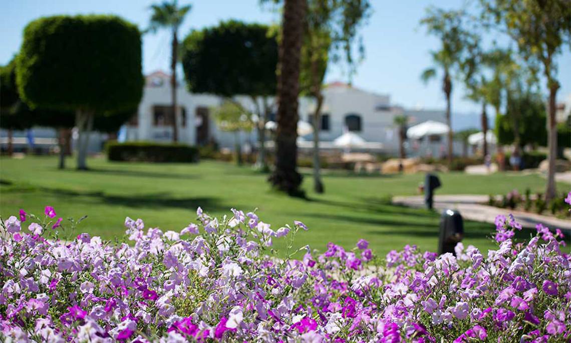 Amphoras Beach in Sharm el Sheikh / Nuweiba / Taba