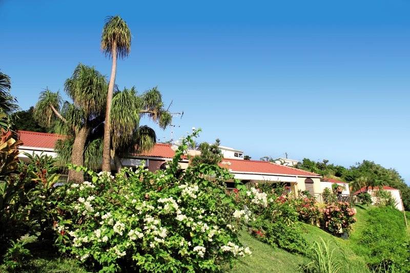 Außenansicht des Aparthotel Le Panoramic mit Palmen, Blumen und Gebäuden.