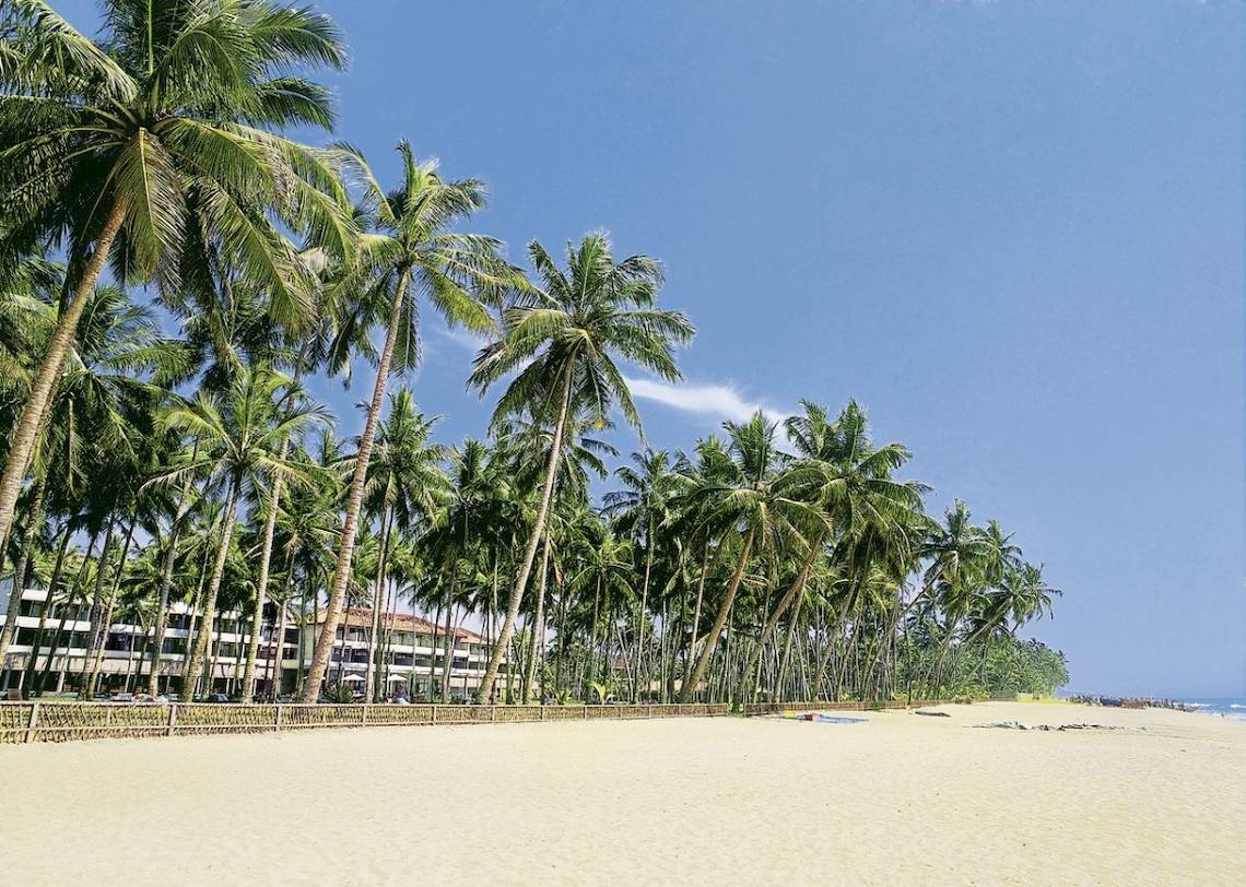 Strand mit Palmen und dem Blue Water Hotel und Spa im Hintergrund