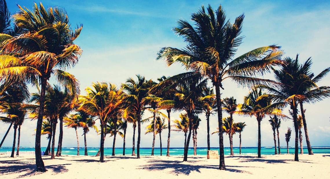Strand mit Palmen im Barcelo Maya Grand Resort