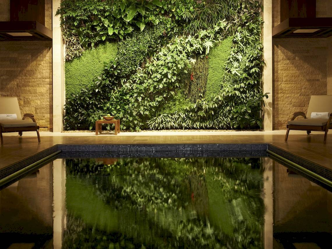 Pool mit grüner Wand im Sofitel Dubai The Palm Hotel