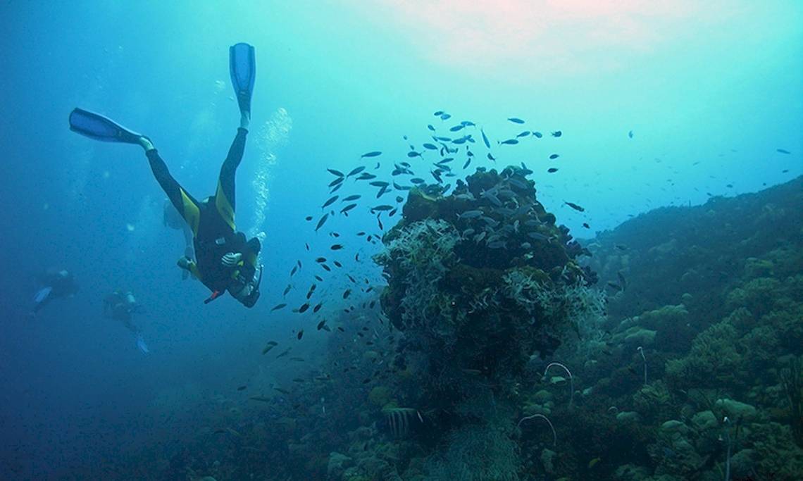 Taucher in voller Ausrüstung, der unter Wasser vor einem Korallenriff schwimmt.