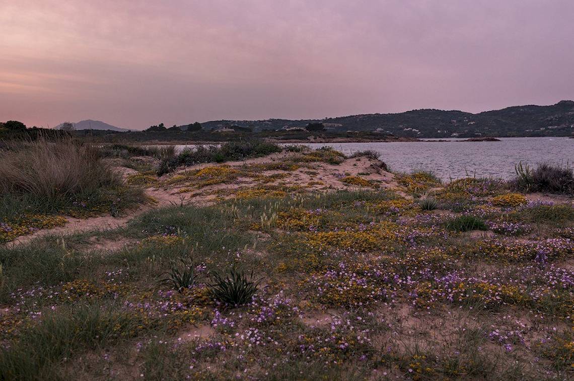 Hotel Ollastu Resort in Sardinien