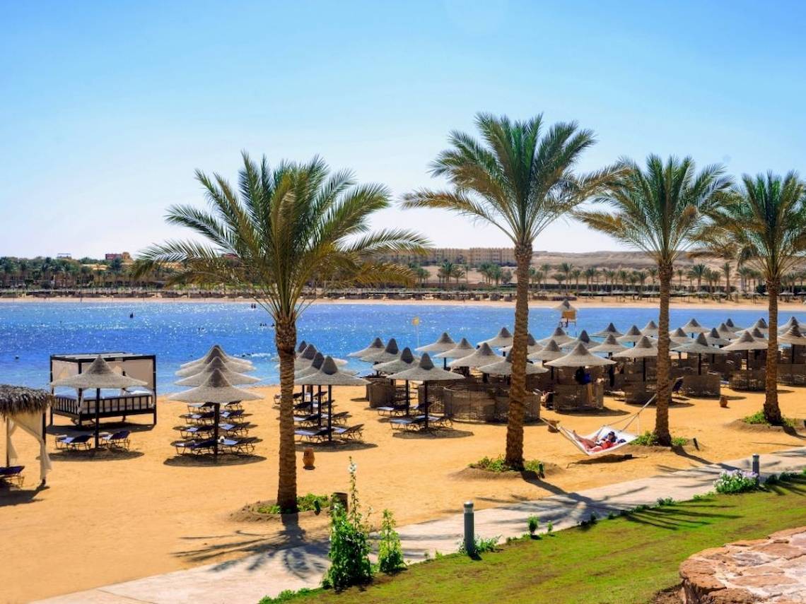 Strand des Steigenberger Coraya Beach Hotels mit Palmen und Sonnenliegen