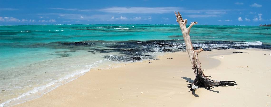 Cerf Island Resort in Seychellen