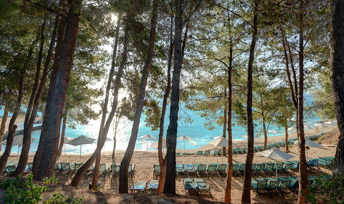 Strand des Candia Park Village Hotels mit Sonnenliegen und Schirmen zwischen Bäumen