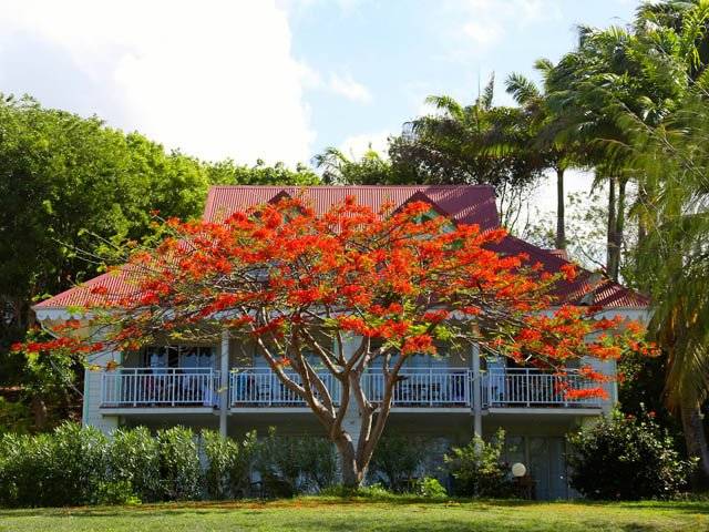 Pierre & Vacances Village Club Sainte-Anne in Guadeloupe