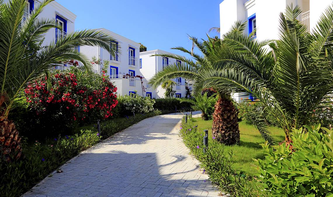 Weg zwischen Palmen zum LABRANDA TMT Bodrum Hotel mit weißen Gebäuden und blauen Fenstern