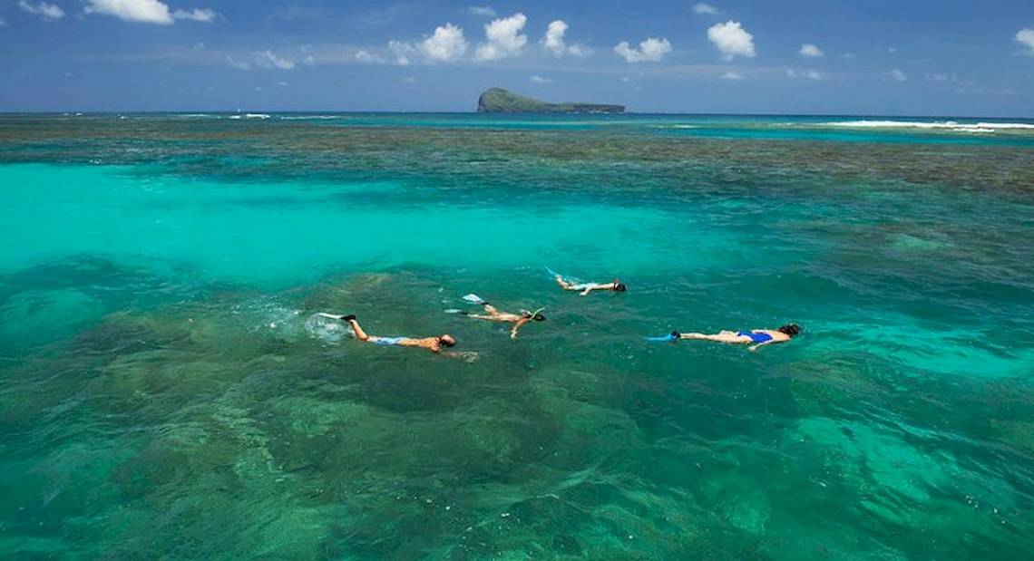 Vier Personen schwimmen und schnorcheln im Meer vor einer Insel.