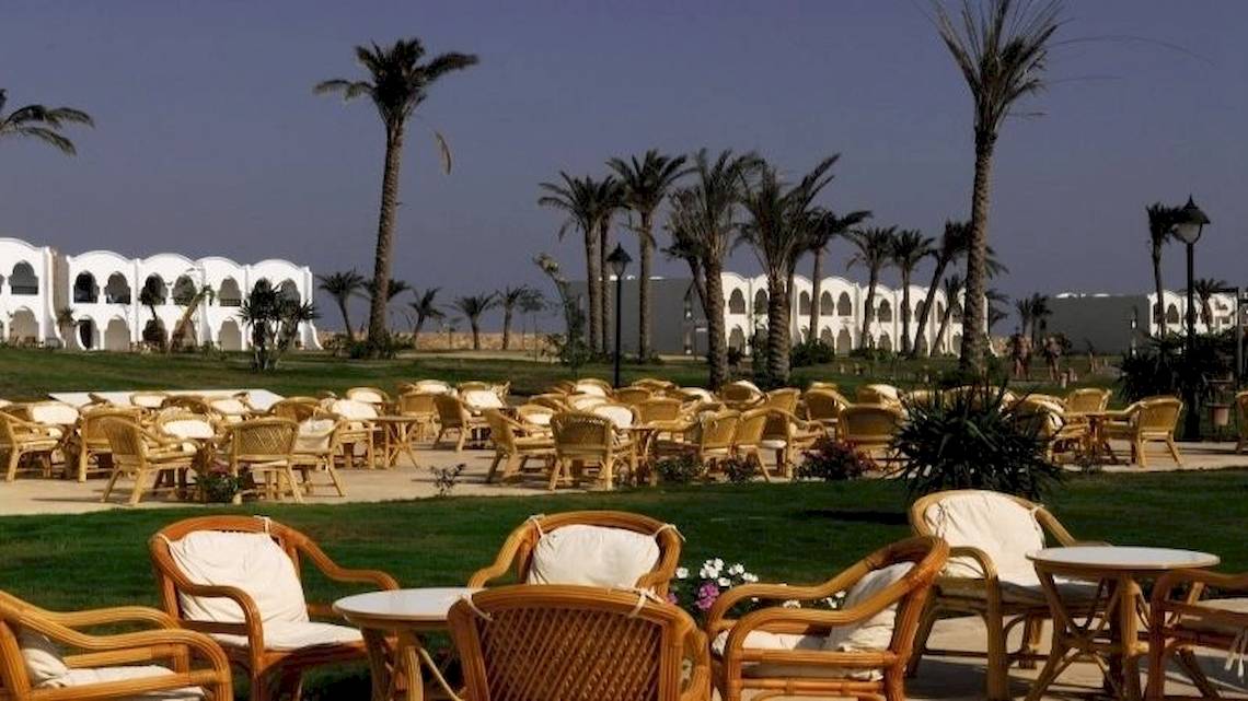 Terrasse des Gorgonia Beach Resorts mit vielen Stühlen und Tischen, umgeben von Palmen.