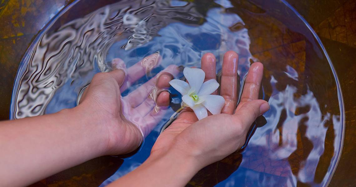 Hand hält eine Blume im Wasser im Velassaru Maldives