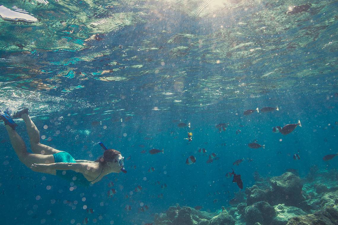 Frau schnorchelt im klaren Wasser mit vielen bunten Fischen und Korallenriffen