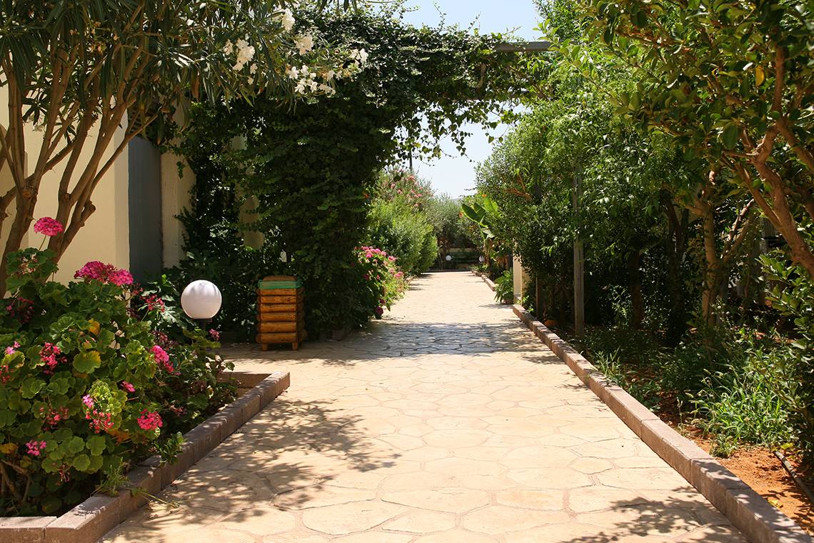 Gartenweg zum Europa Beach Hotel & Spa mit Gehweg und Pflanzen