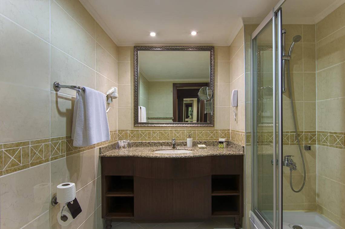 Badezimmer im Delphin Palace Hotel mit Waschbecken, Spiegel und Dusche.