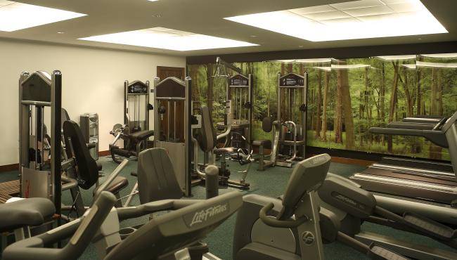 Fitnessraum im Park Plaza County Hall London mit verschiedenen Trainingsgeräten und grünem Hintergrund.