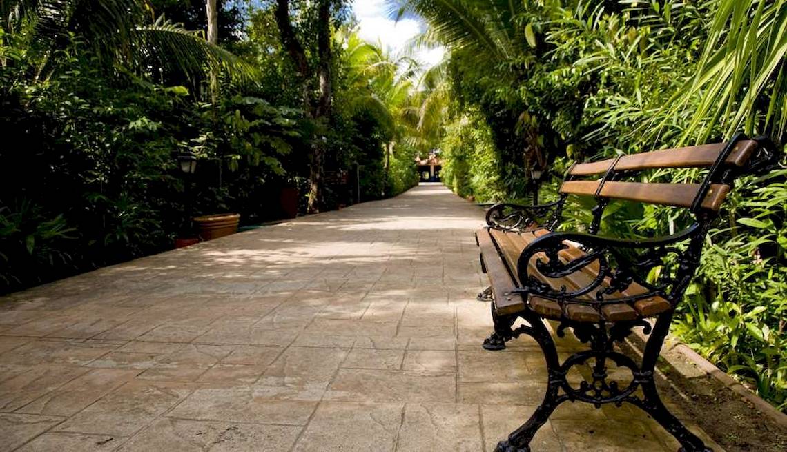 Gartenweg mit Bank im Catalonia Playa Maroma Hotel, umgeben von Pflanzen und Bäumen.