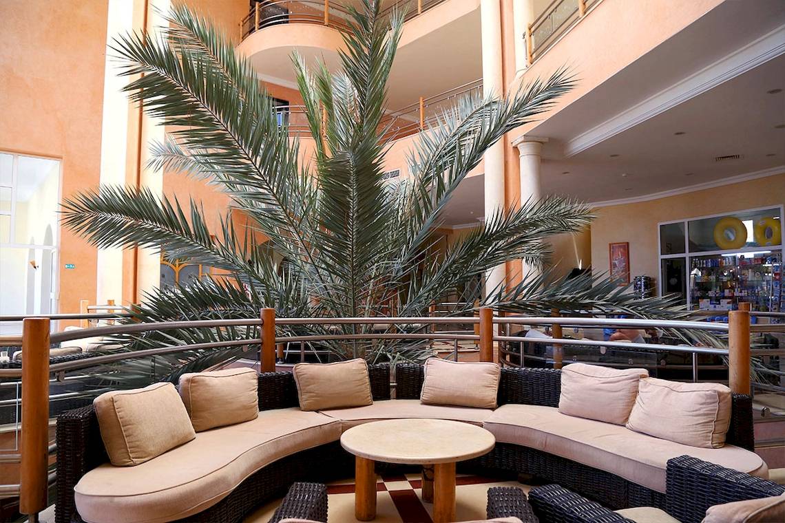 Lobby-Lounge des Eden Star Zarzis Hotels mit einem großen Palmenblatt im Vordergrund und bequemen Sofas.