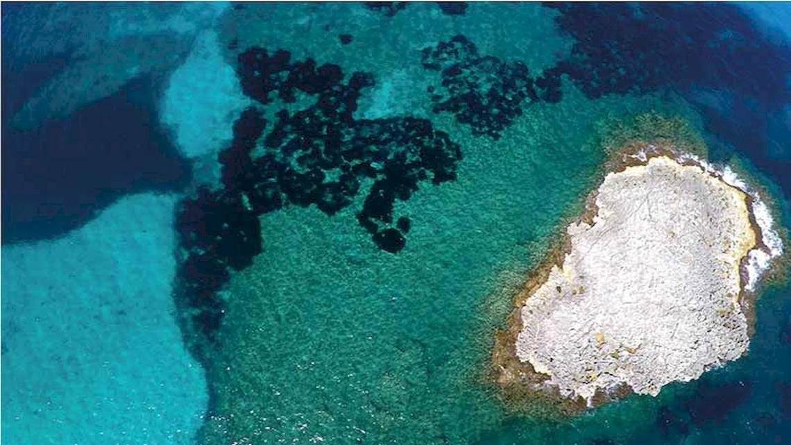 Luftaufnahme eines Korallenriffs und einer Insel im Ozean.