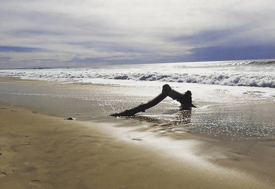 Foto von einem Strand mit einem Baumstamm im Wasser bei einer sanften Welle.
